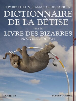 cover image of Dictionnaire de la bêtise